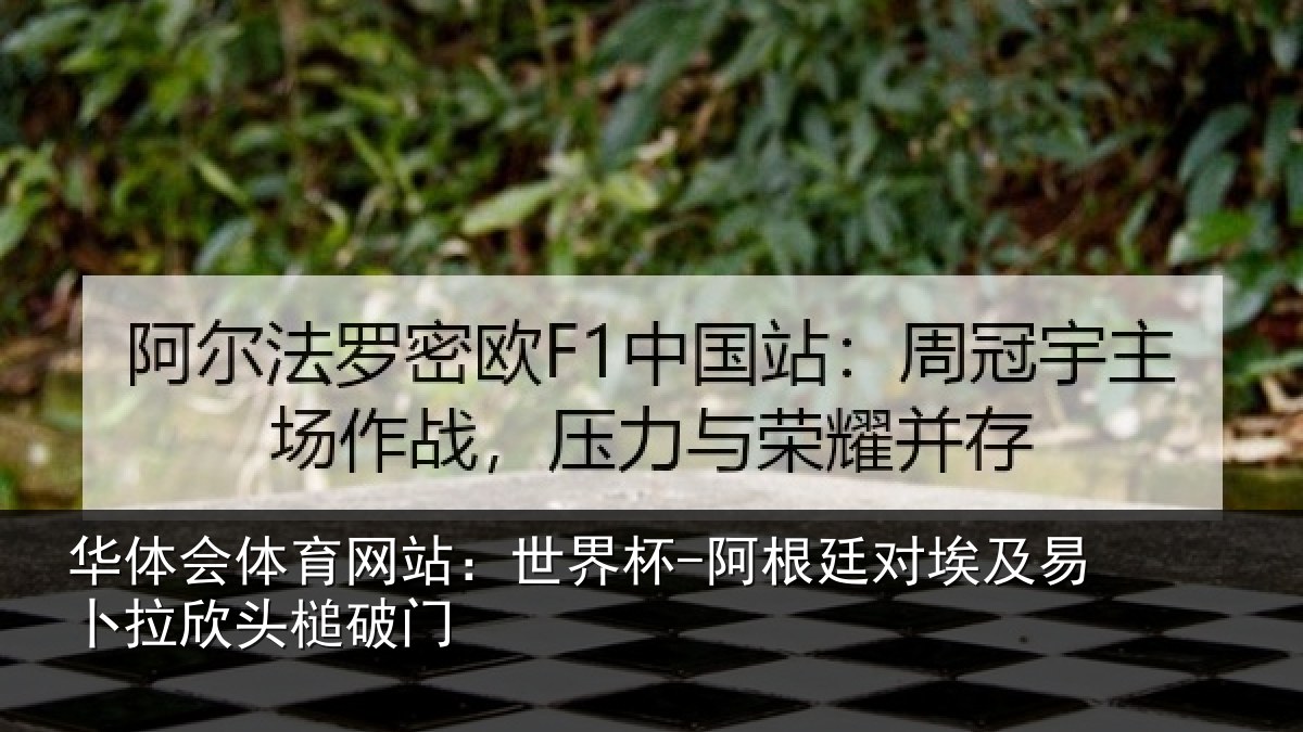 华体会体育网站:世界杯-阿根廷对埃及易卜拉欣头槌破门