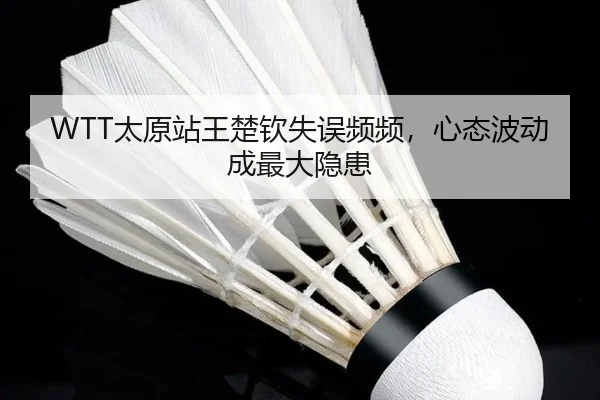 WTT太原站王楚钦失误频频，心态波动成最大隐患