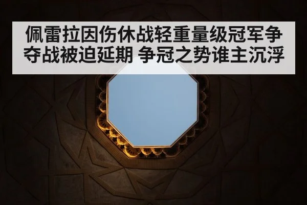 佩雷拉因伤休战轻重量级冠军争夺战被迫延期 争冠之势谁主沉浮