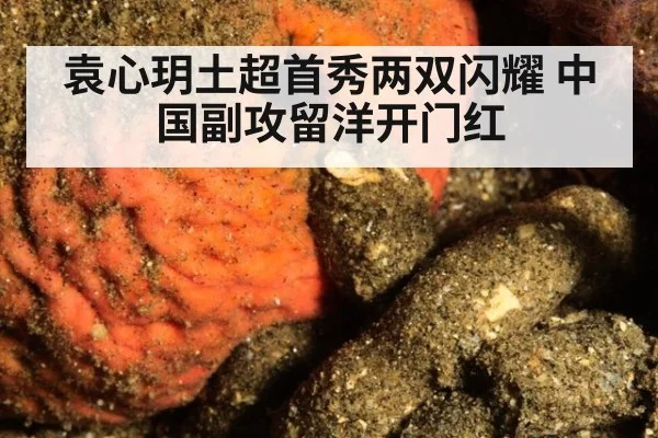 袁心玥土超首秀两双闪耀 中国副攻留洋开门红